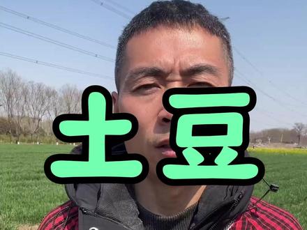 #土豆 #种土豆 #土豆种植 #蔬菜种植