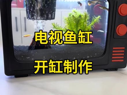 今天开一个电视的鱼缸#鱼缸 #养鱼日记#开缸教程