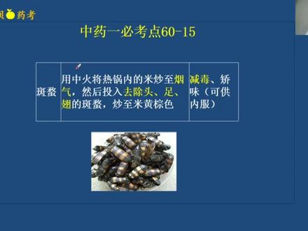 米炒斑蝥的炮制作用 #执业药师考试 #中药 #中药炮制学