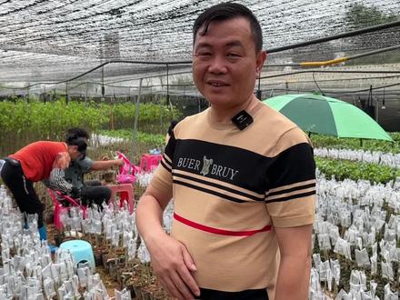 还有很多北方的网友想种植奇楠,今天老林给大家讲讲到底能不能种 #三农 #种植 #奇楠沉香 #农村生活 #老林