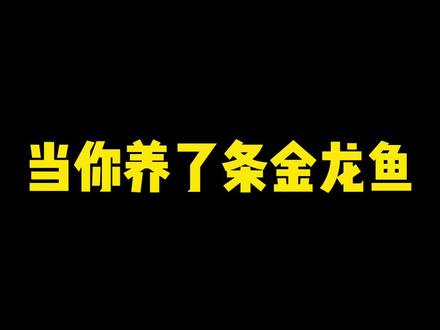 #养鱼 #养鱼人 当你养了一条#龙鱼 董大夫真的太好嘞
