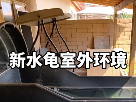 做环境是永恒的话题#萌宠出道计划 #十一萌宠大作战 #我的乡村生活 #何山爱龟说 @抖音萌宠