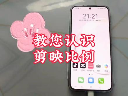 比例,在剪映一级工具栏,您知道它的作用吗#干货分享 #原创作品 #剪映新手基础教学
