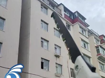 吉林一小区业主6楼抛物,险些砸中两名放学回家的小学生,目击者:抛的是生活垃圾及排泄物