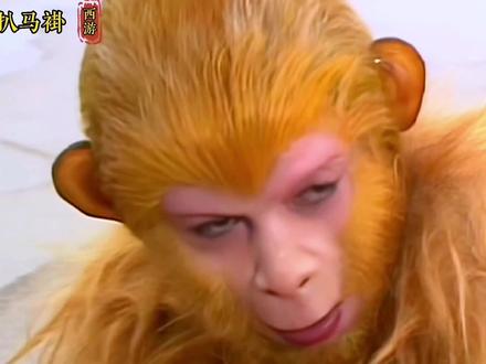 如来说西牛贺洲不贪不杀南赡部洲多杀多争到底有没有说谎?#西游记解读