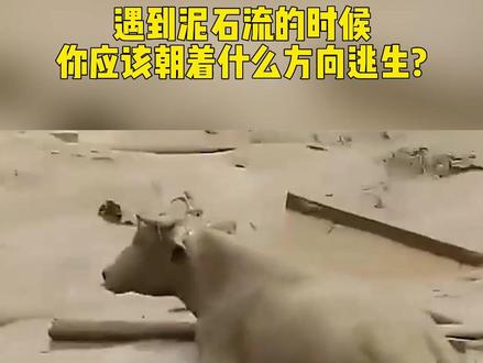 遇到泥石流的时候你应该朝着什么方向逃生#政媒原创者联盟 #监控下的一幕 #危险瞬间 #人人讲安全个个会应急