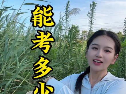 我写的这篇作文,你看能给打多少分?