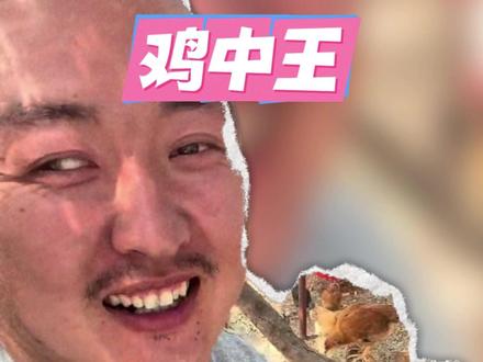 事已至此,先立个鸡太子算了#鸡 #搞笑 #万万没想到 #冷知识 #养鸡