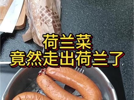 感谢大家捧场,让荷兰菜走向了世界#荷兰 #海外生活 #减肥 #减脂 #抖音美食创作人