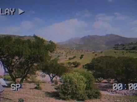 Ae 常用快捷键分享与总结 草履虫和塔菲都能记住 #ae #ae教程#干货分享 #视频剪辑