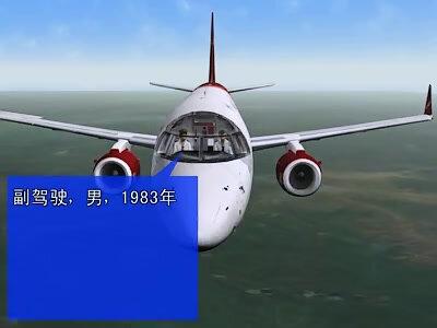 【高清动画还原】河南航空8387号班机事故模拟 #飞机
