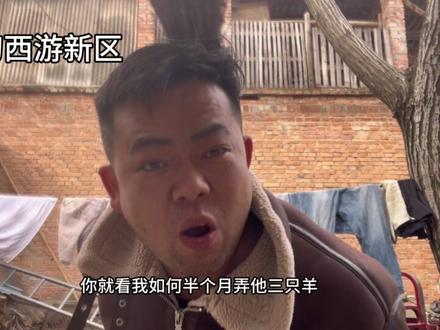 万家灯火新区 一组弥乐山冲啊~#梦幻西游万家灯火 #梦幻西游电脑版 #梦幻西游创梦计划 #梦幻西游搬砖 #梦幻西游时间服