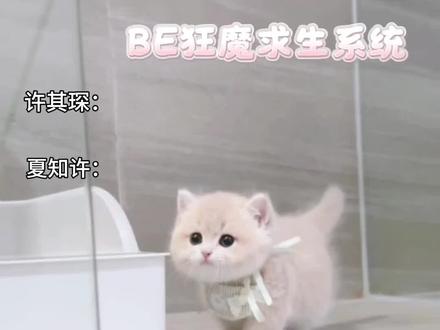 琛琛你就这么喜欢撒娇啊~#be狂魔求生系统广播剧 #知许解夏长长久久 #夏知许其琛