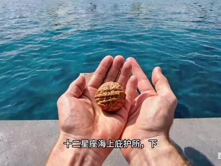 今晚海啸来袭,十二星座决定你的海上庇护所!#aigc #十二星座决定你的海上庇护所!