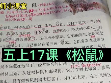 五年级语文上册第17课《松鼠》课文讲解 #小学语文 #课文讲解 #学霸秘籍 #课文笔记