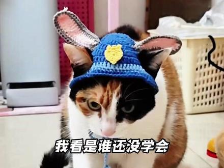 萝卜纸巾猫,一个赛一个搞笑#萝卜纸巾#周深#杨仕泽#王勉#2025影娱年终大赏