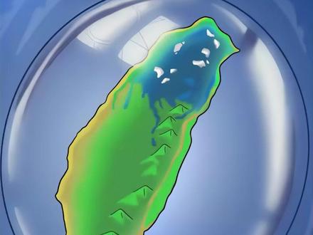 东部战区发布动漫《壳》 #捍卫祖国统一