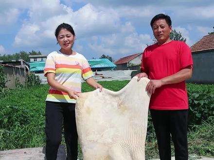 牛皮真的能吃吗?老爸用100斤牛皮,炖了足足3个小时,做了一大锅红烧牛皮……