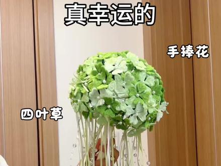 用扭扭棒做,真幸运的,四叶草手捧花,教程嘎嘎简单,快艾特你心灵手巧的朋友给你做#抖音宝藏生活家 #手工人的奇思妙想 #真实生活分享计划 #青年创作者成长计划