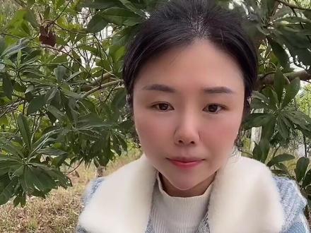 香皂之树,无患子,种一颗可以全家不用买洗涤产品 #我的乡村生活 #三农 #无患子 #大自然的馈赠