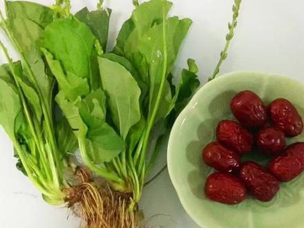 车前草搭红枣煮水#科普一下 #知识分享 #正能量