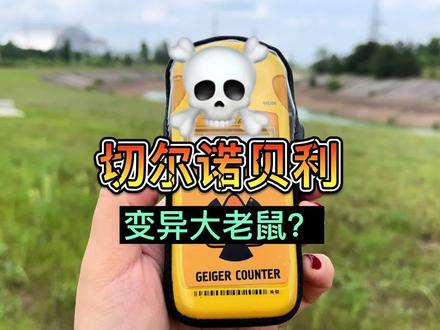 切尔诺贝利核电站⚠️有变异大老鼠吗?