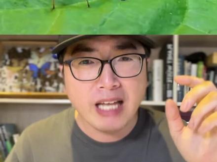 床上发现的是啥小虫,指头竟然被蜇肿?#哪些昆虫不能碰