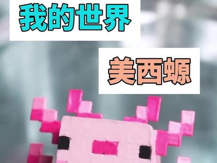 我的世界美西螈 #手工diy#我的世界#minecraft