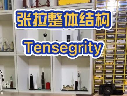 #乐高@抖音文化站 张拉整体结构