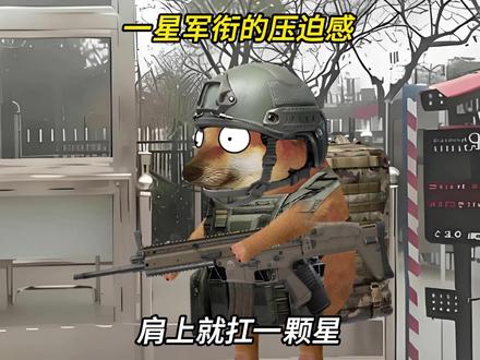 一星军衔的压迫感 (原声@王导请入列 )#cheems #cheems小剧场 #军旅 #部队那些事 #内容过于真实