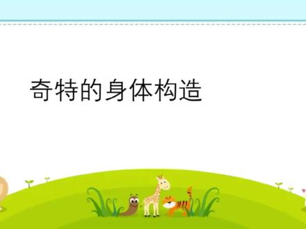 放大镜下看昆虫 - 触角 #昆虫世界 #科普知识