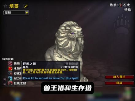 11.1猎人前瞻-宠物功能 #魔兽世界二十周年 #魔兽世界