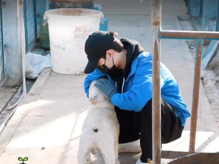 恳请大家看完这条关于大哥敦敦的视频。 蒋敦豪身上有流水不争先,争滔滔不绝的韧性,是温柔强大却又有力量,明媚却又不张扬,是“慈悲心温润骨” 。看完节目的我,其实并没有过多偏爱敦敦,只觉得他温柔可靠,是十个勤天最好的大哥!但考古完敦敦的我,对他有了更多的偏爱,他是专业歌手,业务能力强,现场超级稳(近距离看过tnb巡演),九年的逐梦之旅,不知道在这期间受过多少非议,跌过多少低谷,但他仍在坚持,莫道桑榆晚,为霞尚满天。回头看,轻舟已过万重山,向前看,前路漫漫亦灿灿。山有巅峰,海有彼岸,漫漫长途,终有回转,余味苦涩,终有回甘,一切都是最好的安排!#蒋敦豪 #十个勤天 #种地吧 #种地吧少年