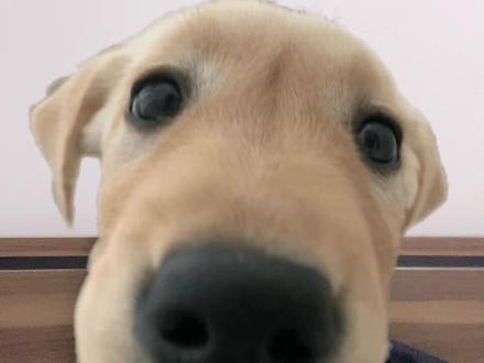 对于大家最好奇的操作问题 做一个简单的教学#基金小白 #投资有风险理财需谨慎