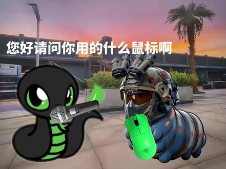 当有人问你用的什么鼠标 #雷蛇#游戏外设#布斯朗悍蛇#三角洲行动#无畏契约