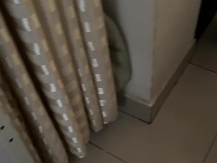 阿弥陀佛了解行程请关注我的抖音小号@昌邑石埠刘姐小号