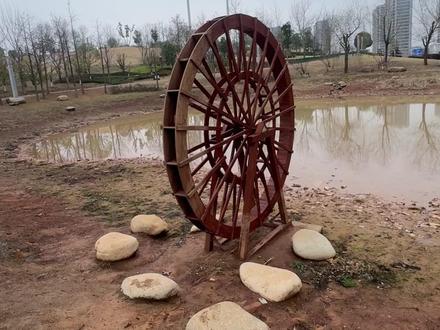 从玩具车到机器人,一键解锁百变玩法! #玩具 #百变校巴 #玩具车