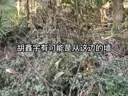 1月29日,警方通报胡鑫宇遗体被找到后,有网友实地探访拍摄事发地金鸡山(三)#胡鑫宇 #江西