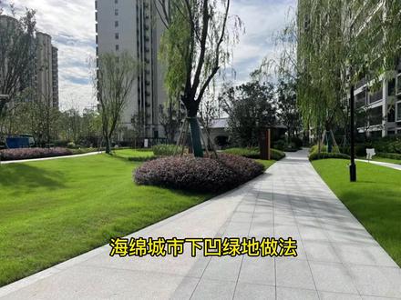 海绵城市下凹绿地是海绵城市收集雨水的一种措施,在雨天能更有效的收集大量雨水并回用,能够减少小区雨水外派量,缓解城市排水压力#景观工程 #园林景观工程 #园林绿化工程 #小区园林景观案例 #园林景观设计 #景观知识 #景观设计 #园林绿化 #海绵城市