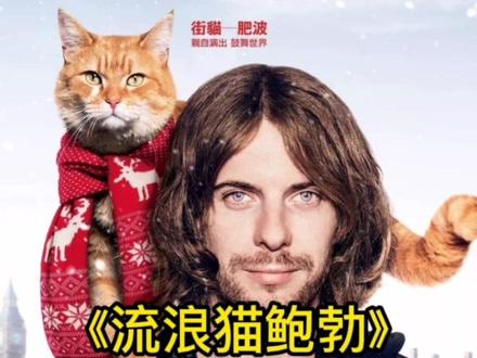 一个处于生活崩溃边缘的男人,竟然被一只流浪猫挽救了?这是童话故事吗?
不,这是一件真人真事。#流浪猫鲍勃