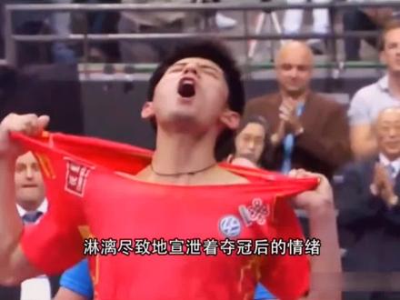 #乒兵球比赛 #2011鹿特丹世乒赛决赛 #张继科VS王皓 藏獒一撕成名 @DOU+小助手