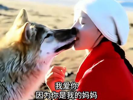 《重返狼群》原著,真的更刀,看得我泪流满面,原著真的太好看了,强烈推荐。#重返狼群 #重返狼群格林 #格林 #狼 #神奇动物在抖音