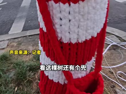 “多巴胺”配色毛衣给树穿上!福州中亭街这排树火出圈了,路人:有一种冷叫妈妈觉得你冷,中亭街好莱钨管理方:想为城市增加亮色#媒体精选计划