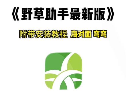 《甜白开分享》野草助手新版来了,安装教程,海对面,湾湾#电视 #野草助手 #野草助手口令 #野草助手使用教程 #野草助手怎么下载