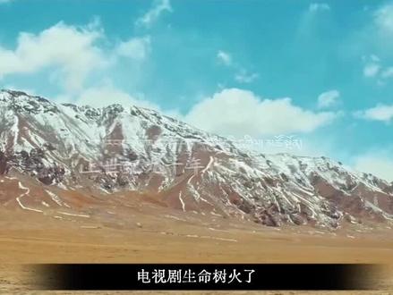 电视剧《生命树》背后的故事和现实意义 #生命树 #胡歌 #扬紫 #生命树追剧后劲好强