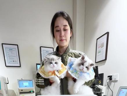 花2000万做猫舍·送女朋友一对小猫 成年人不做选择,女朋友喜欢的都给她,看完@男朋友的都是幸福宝宝🥰@张宝彤的小猫院 @张宝彤布偶猫舍 @张宝彤的布偶猫 #花2000万做猫舍 #vlog日常 #养猫新手 #布偶猫 #张宝彤的布偶猫