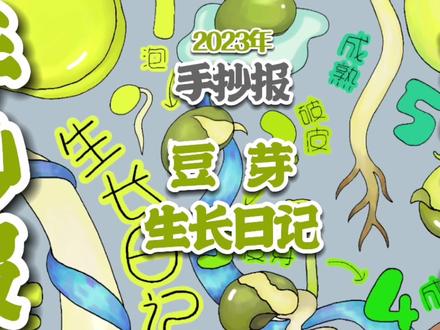 豆芽生长日记,植物生长日记,植物观察手抄报。#豆芽生长记 #豆芽生长记手抄报 #观察绿豆发芽 #植物生长日记 #豆芽生长过程