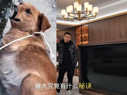 屠夫是用药还是什么?再凶猛的狗一见屠夫就发抖