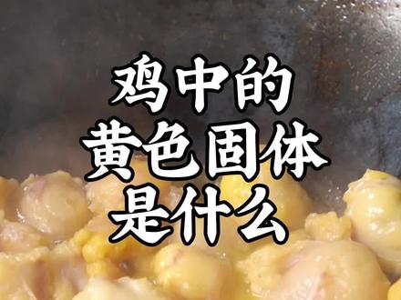 能使食物更香的鸡油,你会用吗?#鸡油 #知识分享 #吃鸡