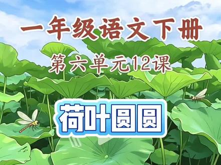 一年级下册语文《荷叶圆圆》 一年级下册语文《荷叶圆圆》思维导图背诵法,梳理课文脉络,分段理解超好记,轻松教会孩子快速背会课文。
#一年级语文 #第六单元12课#荷叶圆圆 #课文背诵 #思维导图学习